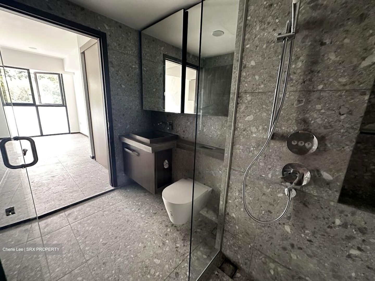 One Pearl Bank (D3), Apartment #488432561